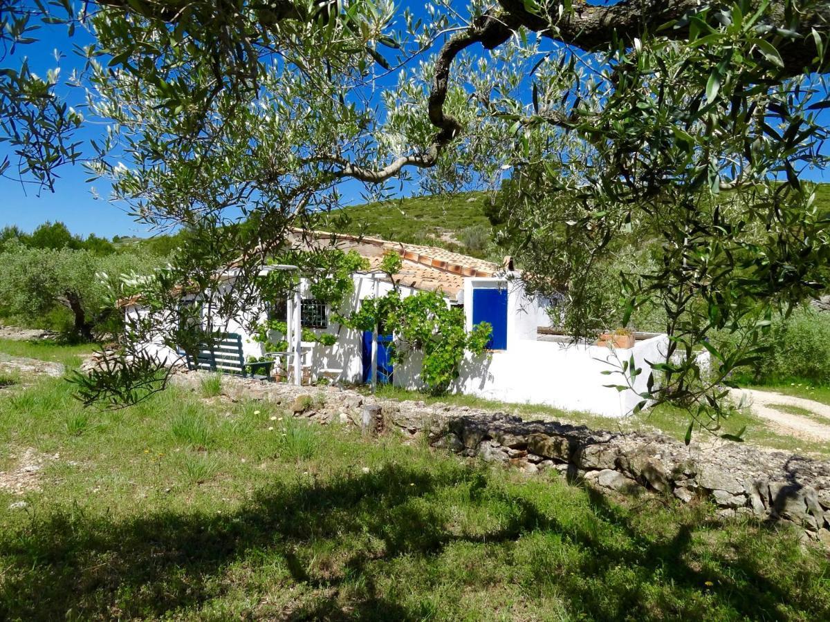 Vila Casita Blanca El Perelló Exteriér fotografie